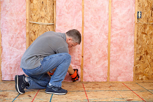 Best Insulation Maintenance and Repair in Carthage, NC
