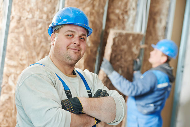Best Insulation Installation Services in Carthage, NC